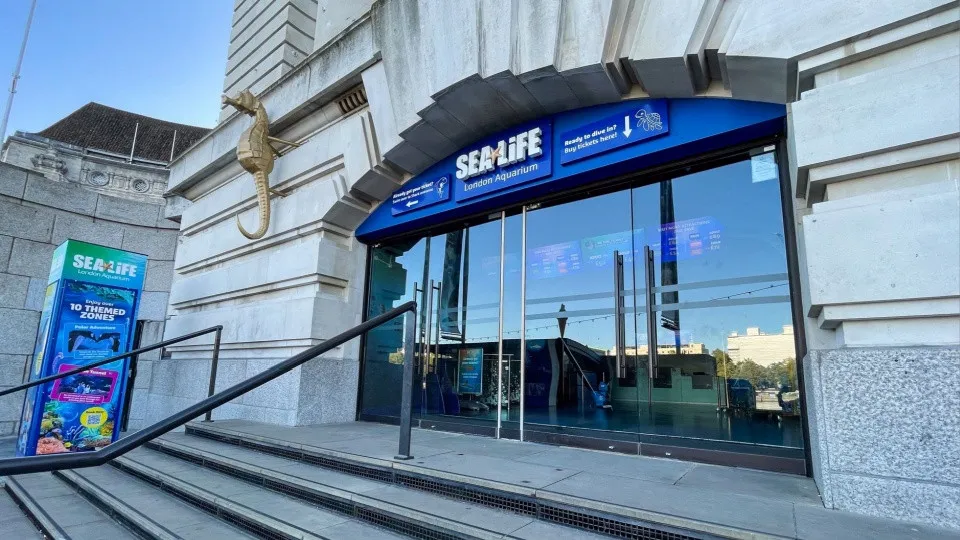 SEA LIFE London Aquarium – Entry Ticket - Image 1
